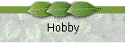 Hobby